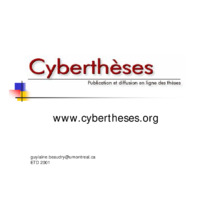 Cybertheses